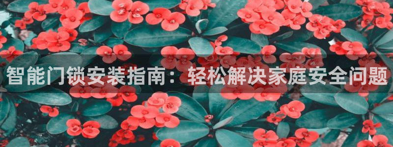 开丰娱乐登入地址是什么：智能门锁安装指南：轻松解决家庭安全问