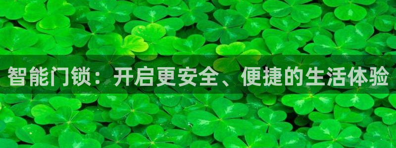 开丰娱乐网站官网下载：智能门锁：开启更安全、便捷的生活体验