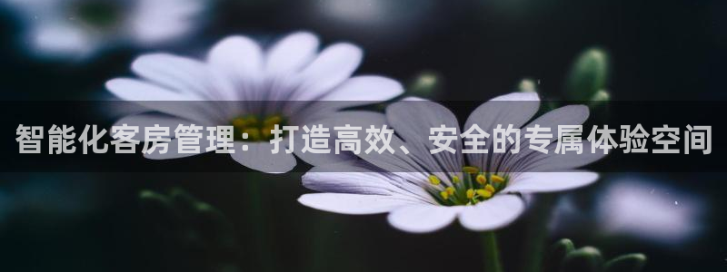 开丰娱乐巾67五壹叁八：智能化客房管理：打造高效、安全的专属