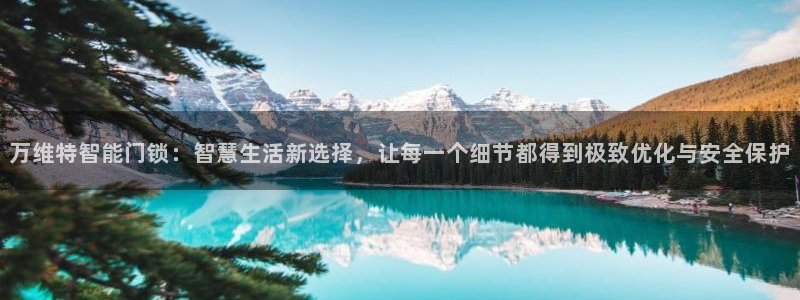 开丰娱乐线路：万维特智能门锁：智慧生活新选择，让每一个细节都