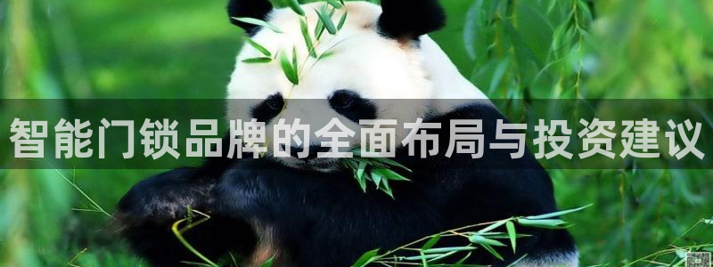 开丰娱乐日7O667：智能门锁品牌的全面布局与投资建议