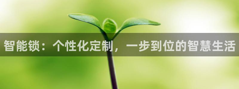 开丰娱乐官网招聘：智能锁：个性化定制，一步到位的智慧生活