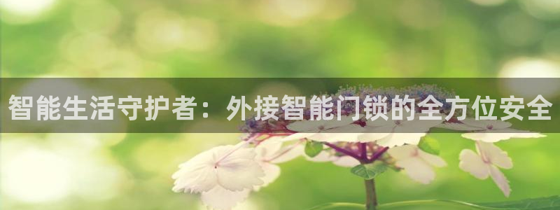 开丰娱乐科技：智能生活守护者：外接智能门锁的全方位安全