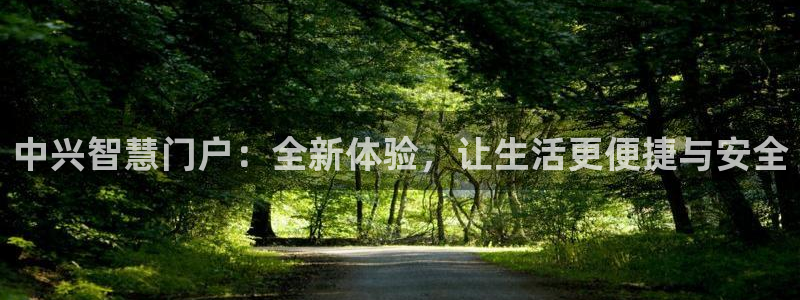 开丰娱乐登入地址是什么：中兴智慧门户：全新体验，让生活更便捷