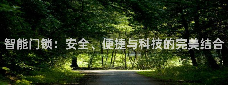 开丰娱乐下7O667：智能门锁：安全、便捷与科技的完美结合