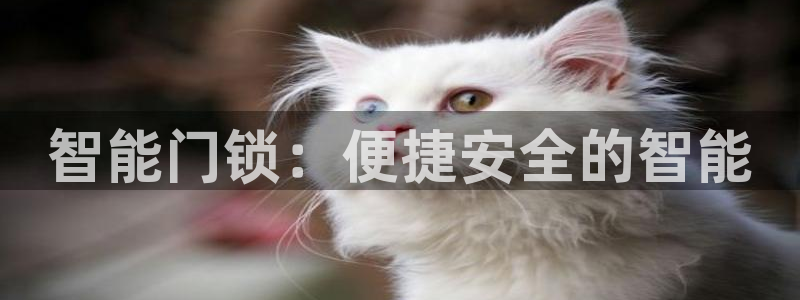 开丰娱乐注册系究耍333OO：智能门锁：便捷安全的智能
