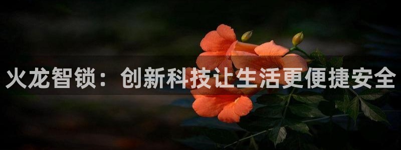 开丰娱乐寸67五壹叁八：火龙智锁：创新科技让生活更便捷安全