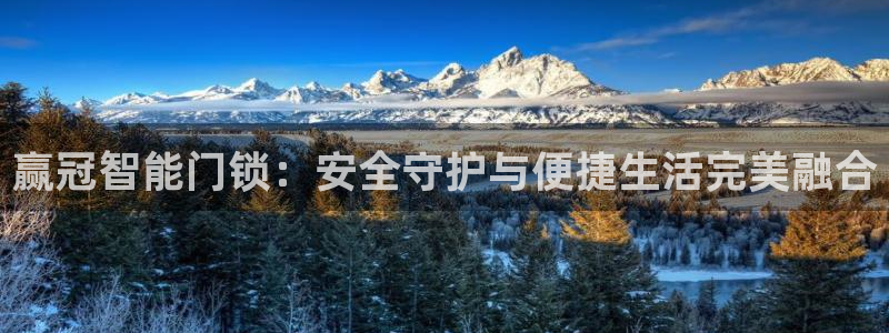 开丰娱乐登录平台：赢冠智能门锁：安全守护与便捷生活完美融合