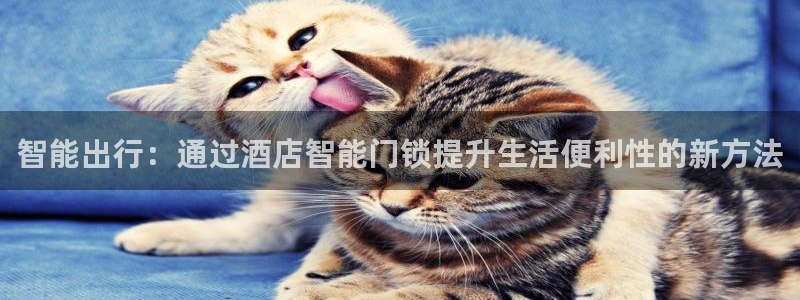 开丰娱乐右7O667：智能出行：通过酒店智能门锁提升生活便利