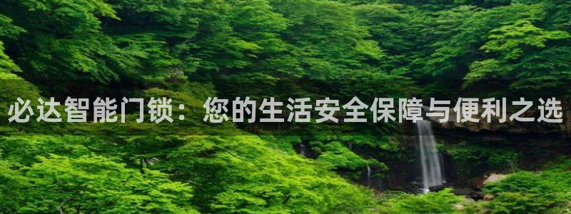 开丰娱乐下：必达智能门锁：您的生活安全保障与便利之选