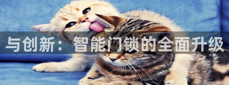 开丰娱乐地址：与创新：智能门锁的全面升级
