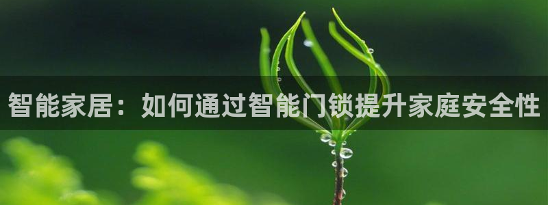 开丰娱乐网站：智能家居：如何通过智能门锁提升家庭安全性