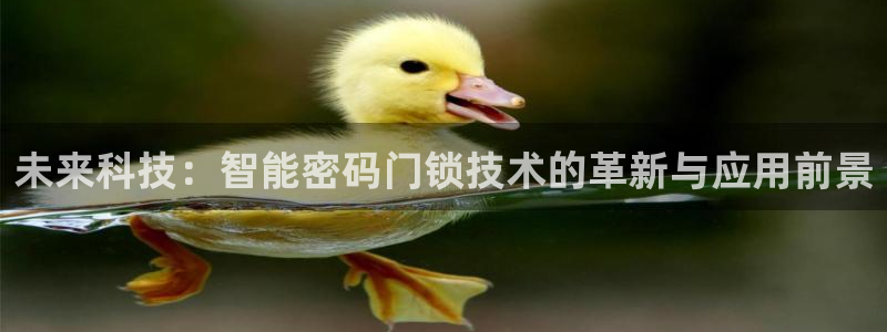 开丰娱乐科技：未来科技：智能密码门锁技术的革新与应用前景
