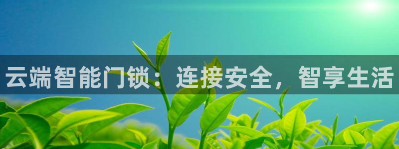 开丰娱乐平台：云端智能门锁：连接安全，智享生活