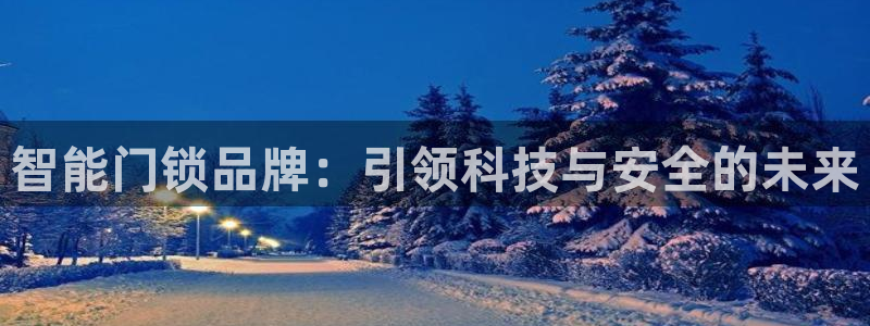 开丰娱乐地址查询：智能门锁品牌：引领科技与安全的未来