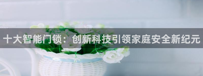 开丰娱乐平台注册时间：十大智能门锁：创新科技引领家庭安全新纪