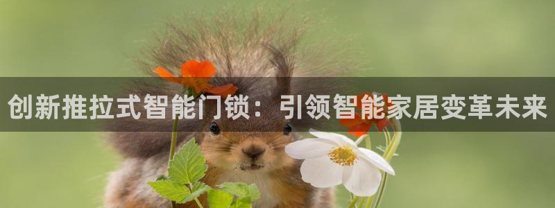 开丰娱乐主管：创新推拉式智能门锁：引领智能家居变革未来