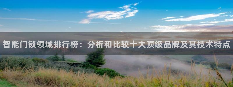 开丰娱乐最新活动：智能门锁领域排行榜：分析和比较十大顶级品牌