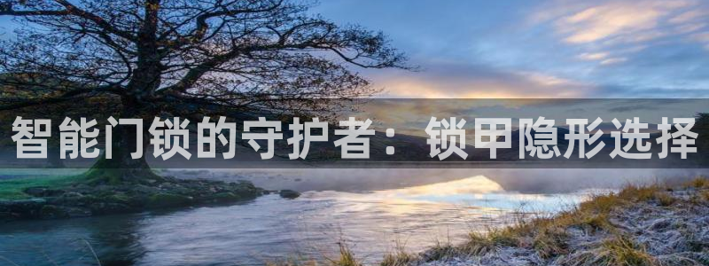 开丰娱乐平台提现失败：智能门锁的守护者：锁甲隐形选择