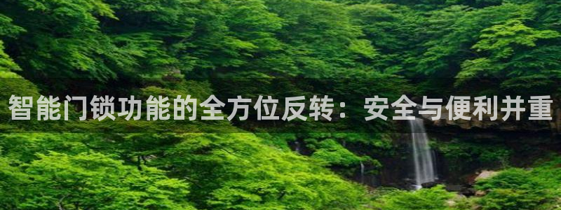 圩丰刚开的娱乐场所：智能门锁功能的全方位反转：安全与便利并重