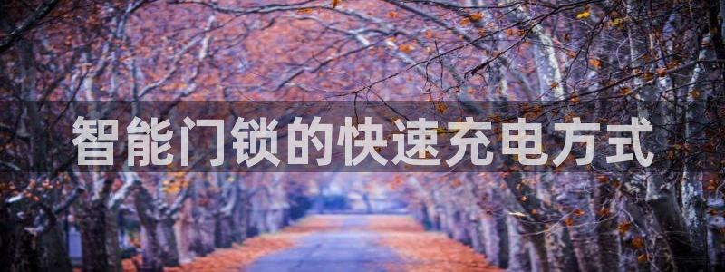 开丰娱乐主管：智能门锁的快速充电方式