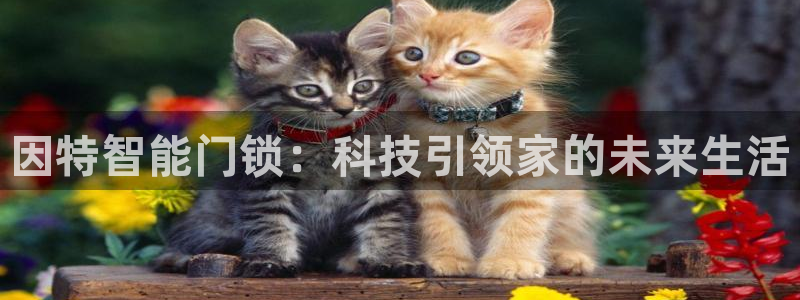 圩丰刚开的娱乐场所：因特智能门锁：科技引领家的未来生活