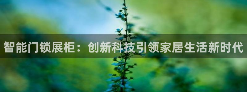 开丰娱乐地址：智能门锁展柜：创新科技引领家居生活新时代