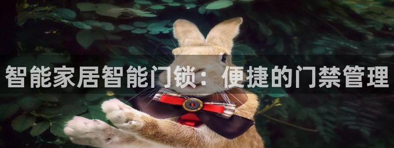 开丰娱乐与六七五一38：智能家居智能门锁：便捷的门禁管理