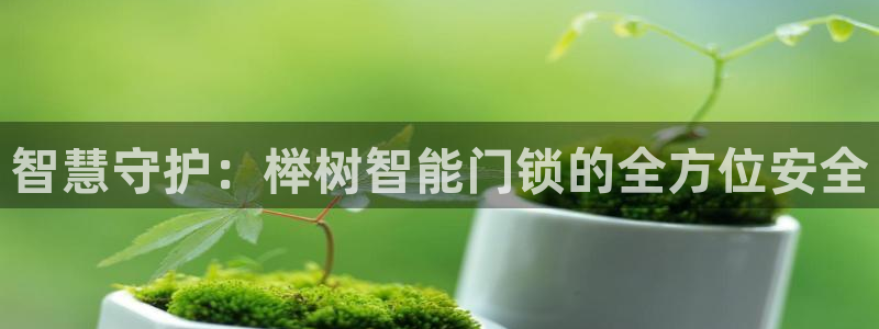 开丰娱乐上7O667：智慧守护：榉树智能门锁的全方位安全