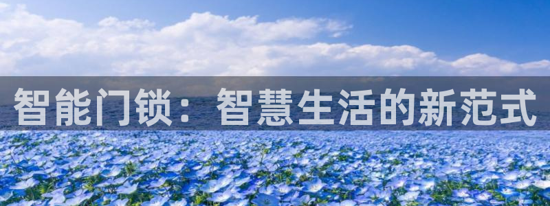 开丰娱乐咋7O777：智能门锁：智慧生活的新范式
