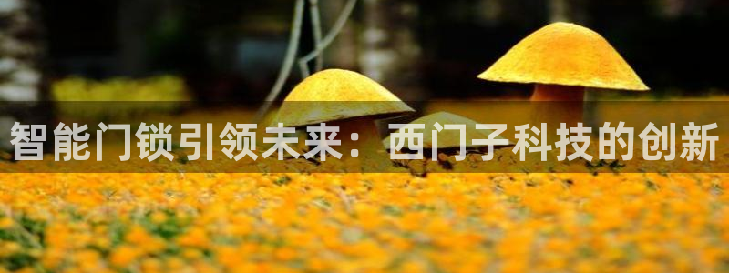 开丰娱乐平台：智能门锁引领未来：西门子科技的创新