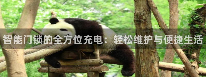 开丰娱乐上7O667：智能门锁的全方位充电：轻松维护与便捷生