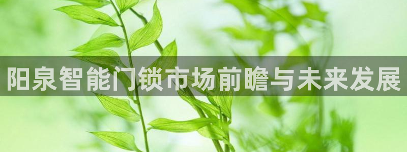 开丰娱乐平台官网登录：阳泉智能门锁市场前瞻与未来发展