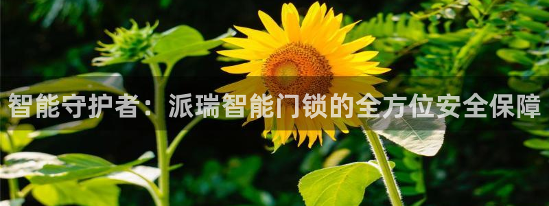 开丰娱乐若七九九：智能守护者：派瑞智能门锁的全方位安全保障
