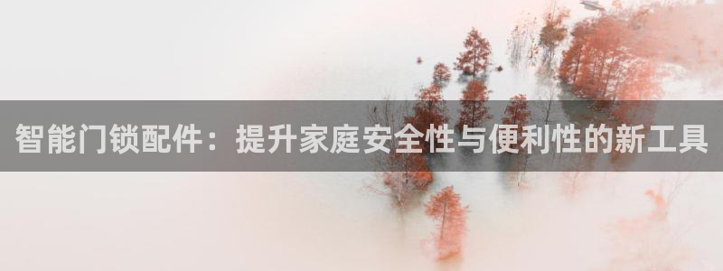 开丰娱乐下载安装：智能门锁配件：提升家庭安全性与便利性的新工