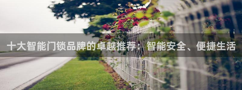 开丰娱乐官网首页：十大智能门锁品牌的卓越推荐：智能安全、便捷
