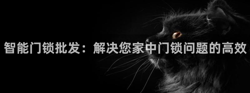 开丰娱乐登录平台下载：智能门锁批发：解决您家中门锁问题的高效