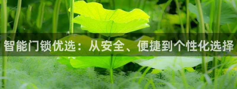 如何注册开丰娱乐账号：智能门锁优选：从安全、便捷到个性化选择