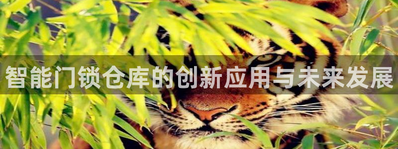 圩丰刚开的娱乐场所：智能门锁仓库的创新应用与未来发展
