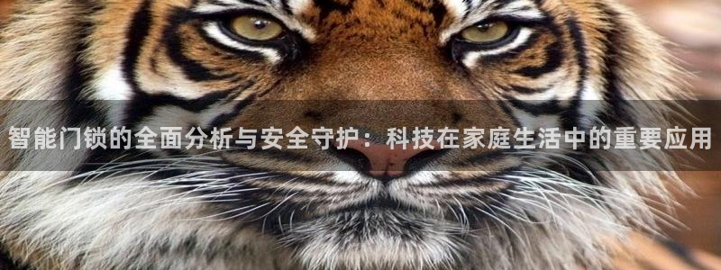 圩丰刚开的娱乐场所：智能门锁的全面分析与安全守护：科技在家庭