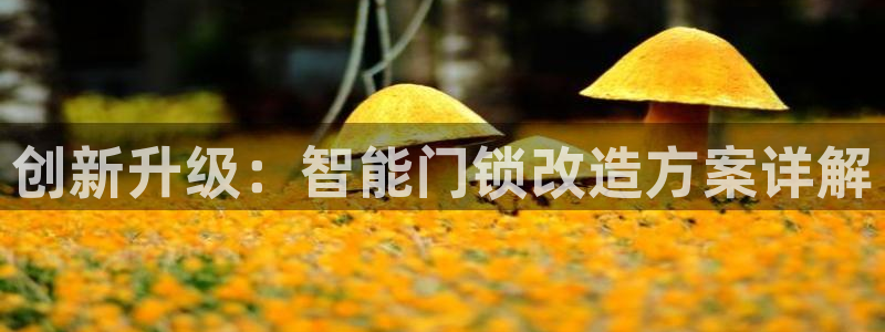 开丰娱乐官网登录平台：创新升级：智能门锁改造方案详解