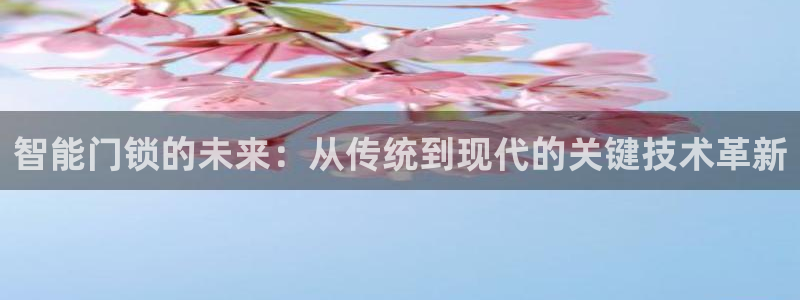 开丰娱乐若七九九：智能门锁的未来：从传统到现代的关键技术革新