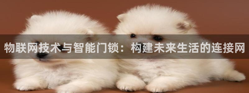 开丰娱乐怎么开转点：物联网技术与智能门锁：构建未来生活的连接