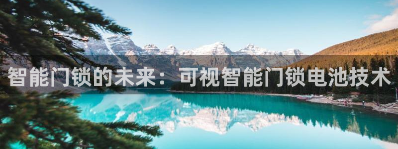 开丰娱乐于六七五一38：智能门锁的未来：可视智能门锁电池技术