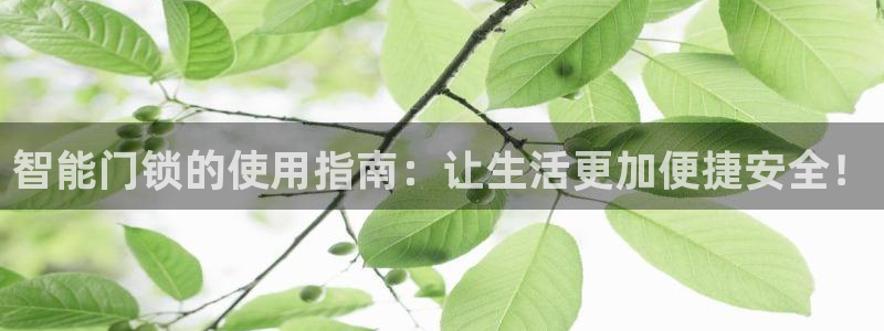 开丰娱乐巾67五壹叁八：智能门锁的使用指南：让生活更加便捷安