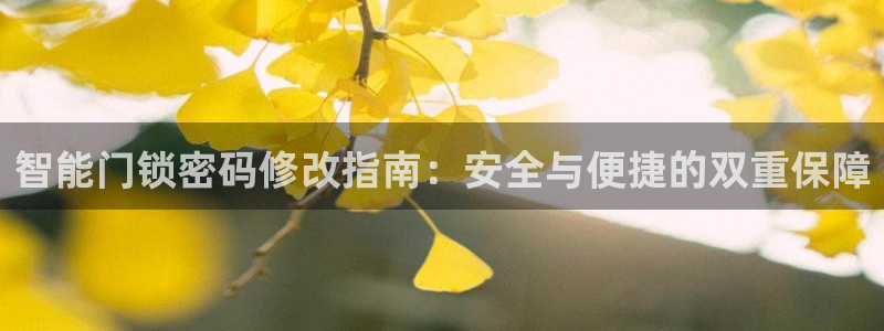 开丰娱乐网址：智能门锁密码修改指南：安全与便捷的双重保障