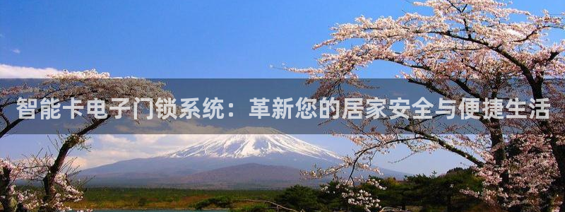 开丰娱乐官网最新消息：智能卡电子门锁系统：革新您的居家安全与