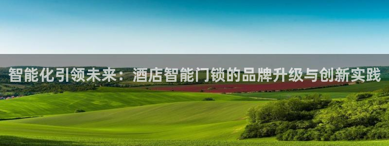 开丰娱乐注册登录不了：智能化引领未来：酒店智能门锁的品牌升级