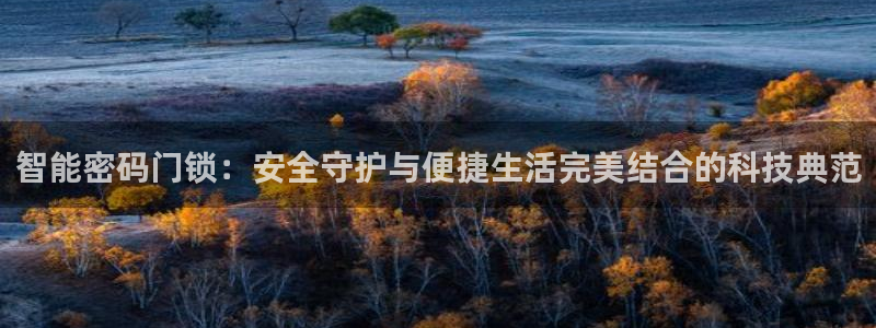 开丰娱乐登入地址在哪查：智能密码门锁：安全守护与便捷生活完美