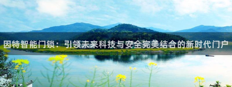 开丰娱乐平台地址电话：因特智能门锁：引领未来科技与安全完美结